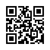 КулЛиб QR: Опасная находка (fb2)