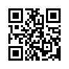 КулЛиб QR: Мерцание экрана (fb2)