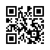 КулЛиб QR: Краткая история цифровизации (fb2)
