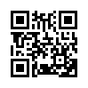 КулЛиб QR: Одержимость Блэки (fb2)