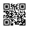 КулЛиб QR: Пулковская высота (fb2)