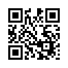 КулЛиб QR: Витражи лесной столицы (fb2)