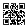 КулЛиб QR: Сущность режима Путина (fb2)
