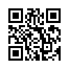 КулЛиб QR: Острожный художник (fb2)