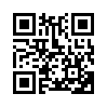 КулЛиб QR: Тень (fb2)