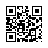 КулЛиб QR: Избранные эссе (fb2)