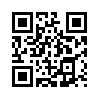 КулЛиб QR: Двойные мосты Венисаны (fb2)