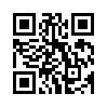 КулЛиб QR: Французский связной (fb2)