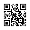 КулЛиб QR: Возвращение Игоря (fb2)