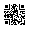 КулЛиб QR: Четыре года войны (fb2)
