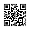 КулЛиб QR: Вопрос – ответ (fb2)