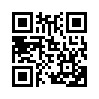 КулЛиб QR: Малабарские вдовы (fb2)