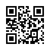КулЛиб QR: Стажер (fb2)
