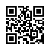 КулЛиб QR: Цвет ночи (fb2)