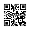 КулЛиб QR: Куратор (fb2)