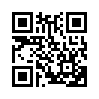 КулЛиб QR: Метафора в политической коммуникации (fb2)