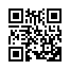 КулЛиб QR: Раскол (fb2)
