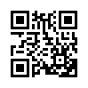 КулЛиб QR: Радио с сюрпризом (fb2)