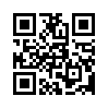 КулЛиб QR: Имя и отчество (fb2)