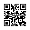 КулЛиб QR: Винсент (fb2)