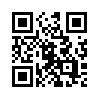 КулЛиб QR: Портфель точка нет (fb2)