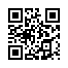 КулЛиб QR: Бастион (СИ) (fb2)