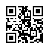 КулЛиб QR: Совок 13 (fb2)