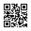 КулЛиб QR: Летучий корабль (fb2)