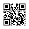 КулЛиб QR: Случайная невеста главы тайного сыска (fb2)