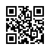 КулЛиб QR: Нежелательные элементы (fb2)