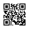 КулЛиб QR: Попаданец (fb2)
