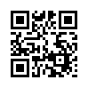 КулЛиб QR: Основные положения концепции Лоренца (fb2)