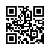 КулЛиб QR: Книга Готель (fb2)
