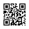 КулЛиб QR: Решатель (fb2)