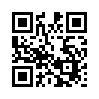 КулЛиб QR: Китайский секрет для мистера Форда (fb2)