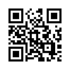 КулЛиб QR: Зеркальный мир (fb2)