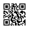 КулЛиб QR: Командировка (fb2)