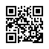 КулЛиб QR: Разведчик (fb2)