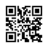 КулЛиб QR: Fandorine 12-14 (fb2)