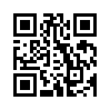 КулЛиб QR: Начальник милиции (fb2)