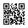 КулЛиб QR: Тайна ночи (fb2)
