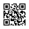 КулЛиб QR: Господин аранжировщик (fb2)