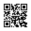 КулЛиб QR: Идиот (fb2)