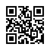 КулЛиб QR: Размышления благостного патриота (fb2)