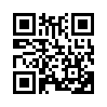 КулЛиб QR: Я — твоя Кошка (СИ) (fb2)