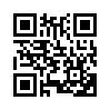 КулЛиб QR: На медаль (fb2)
