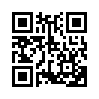 КулЛиб QR: Иллюзия правды. Джокер (fb2)