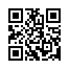 КулЛиб QR: Зеркало (fb2)