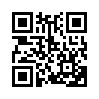 КулЛиб QR: Медведь (fb2)