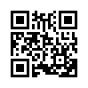 КулЛиб QR: Мнение аудитора (fb2)